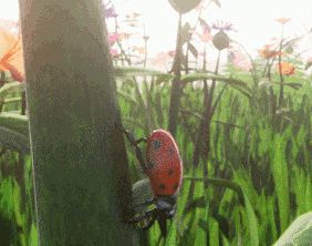 Ladybird climbing stalk GIF!